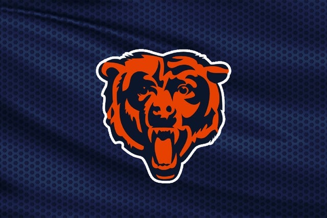 BEAR DOWN HAWAII